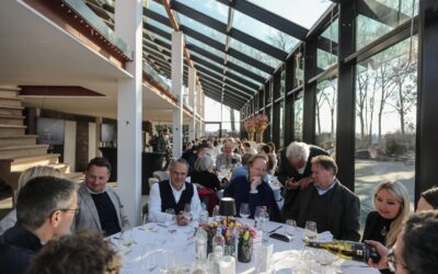 One Two Go Netwerk: Van Oys